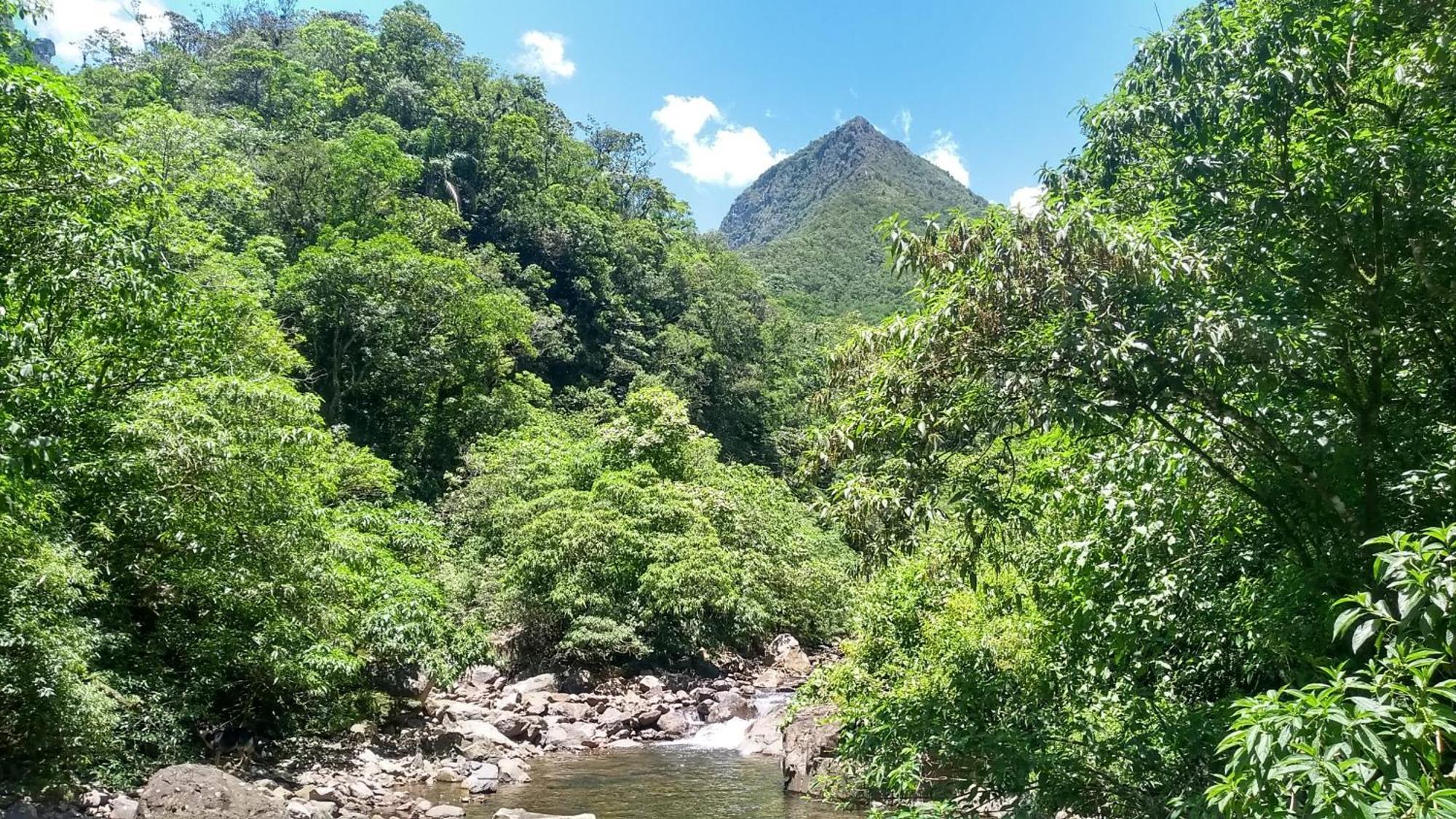 Hostel E Pousada Vale Mirante Da Rocha Timbe do Sul Eksteriør billede